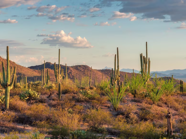 Scottsdale, from $299