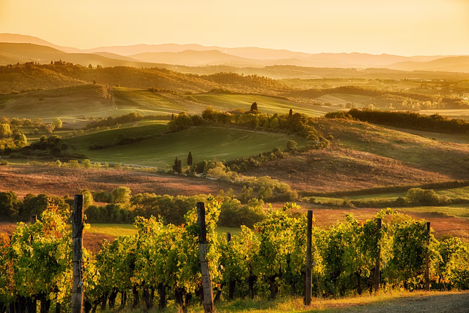 Golden day looking over the Tuscan fields.
