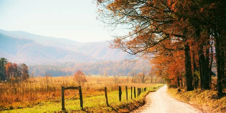 4 Weekend Getaways That Capture Autumn’s Best | Hilton Grand Vacations