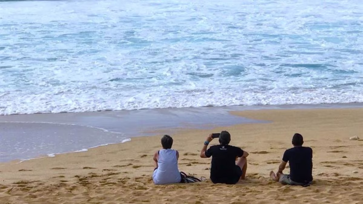 A family sitting together on the beach, backs to the camera, facing the water