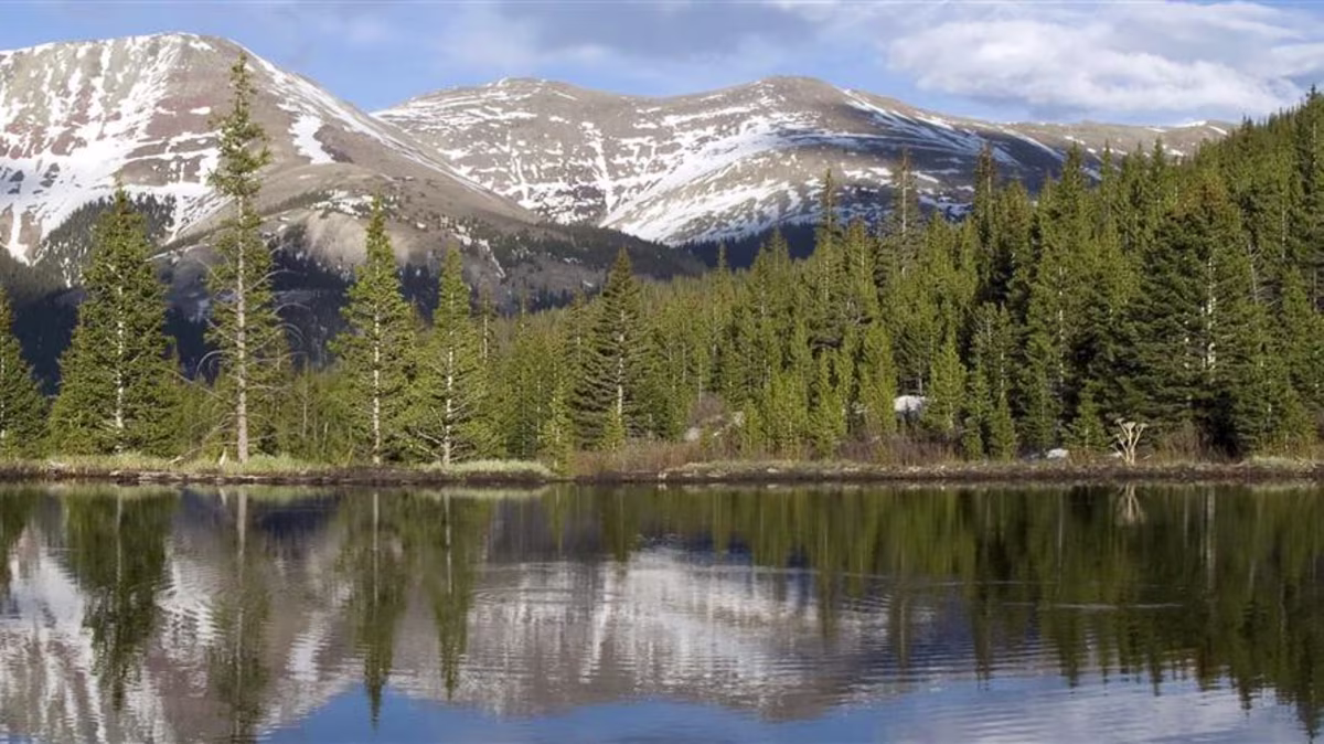 Snowcapped mountain range and pine trees behind a lake.