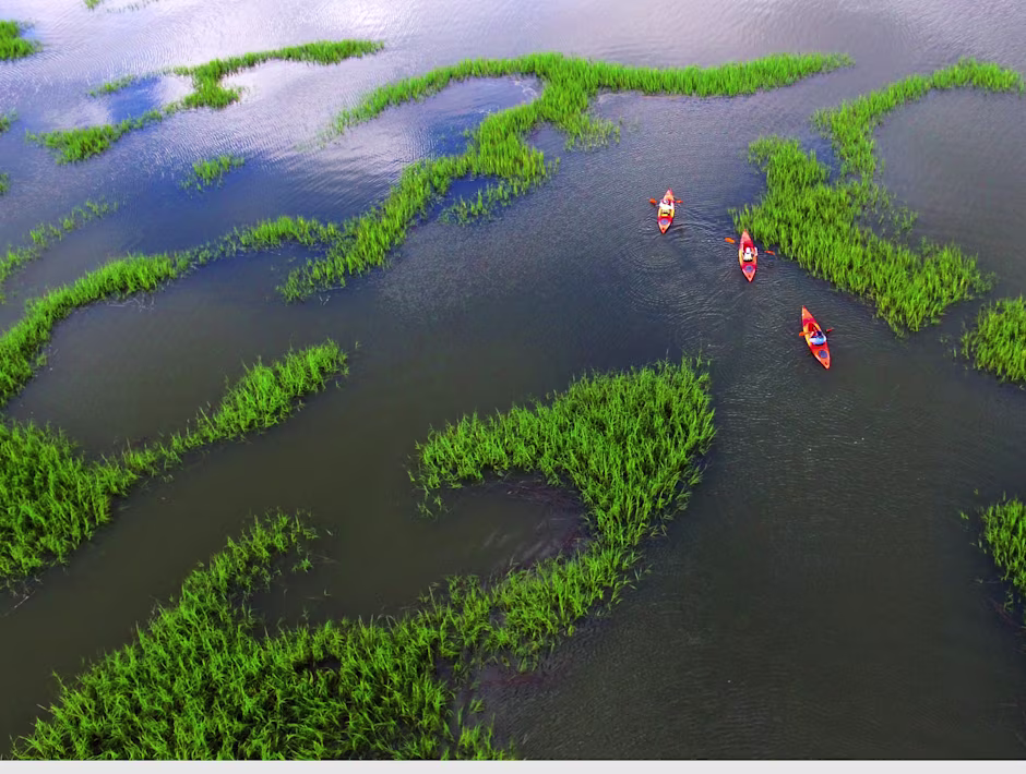 Image > Destination > North & South Carolina > Features Gallery > 3 > Destinations_North-SouthCarolina-3_1548x1170.jpg