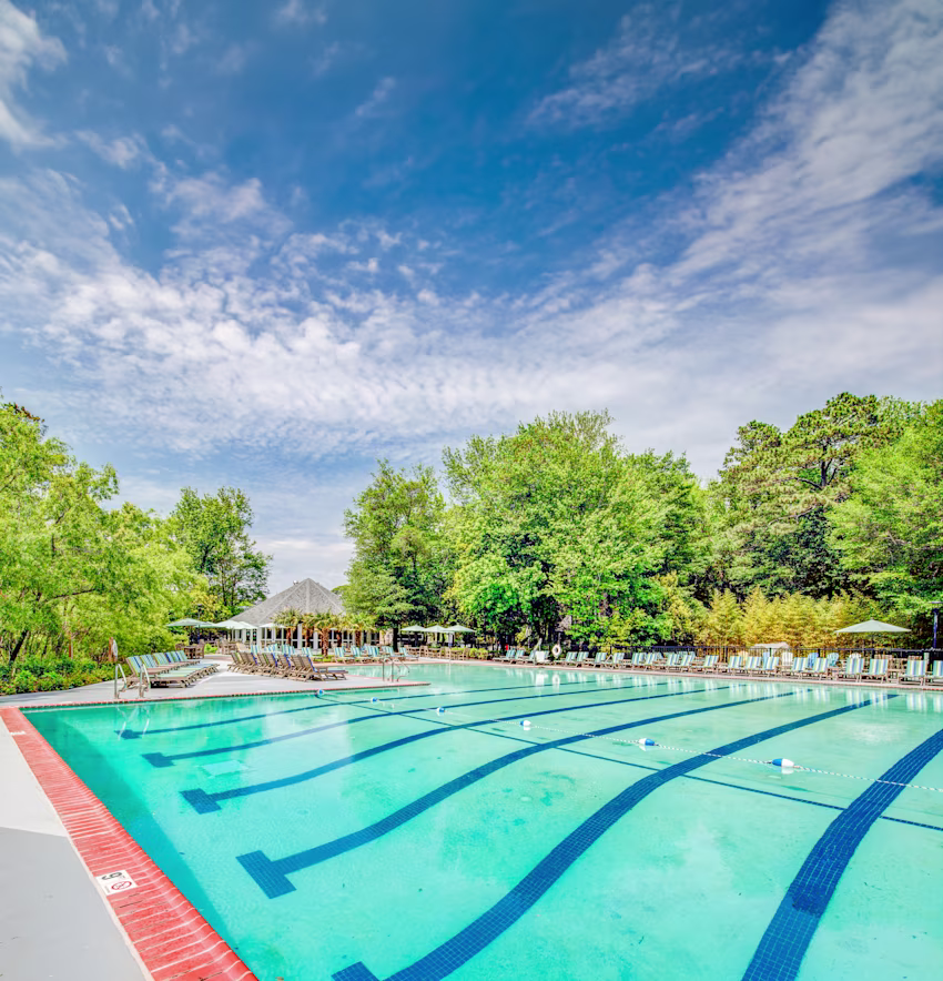 Image > Resort > North & South Carolina > Beachwoods, a Hilton Vacation Club > Gallery > BWS_OUTDOOR_POOL_0002_2016_RGB_edit.jpg