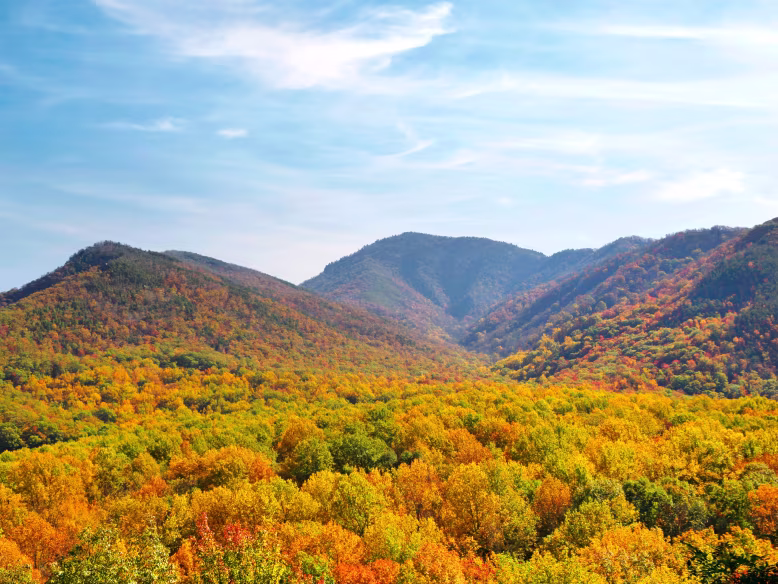 Gatlinburg , from $299