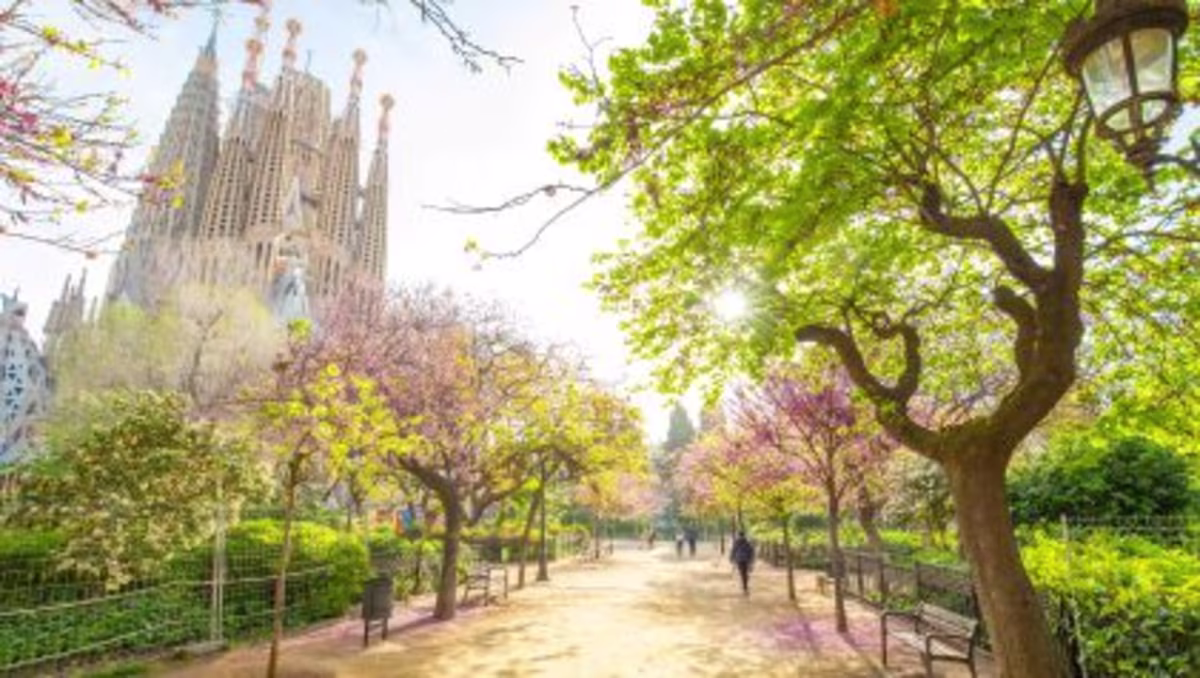 Spring day, city center garden in full bloom, Barcelona, Spain.