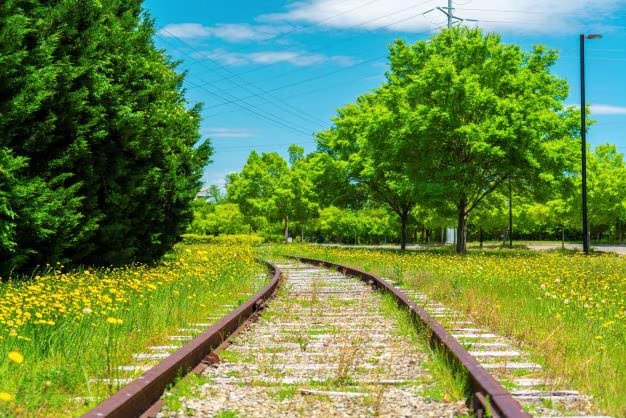 All Aboard_body 6_resize_may 22