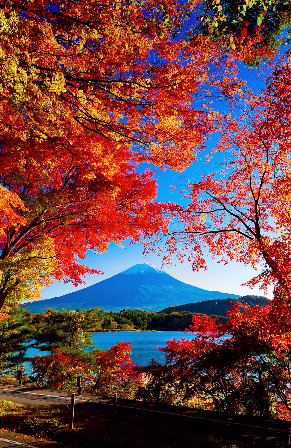 Image > Destination > Japan > Features Gallery > 1 > Destinations_Japan-1_758x1168.jpg