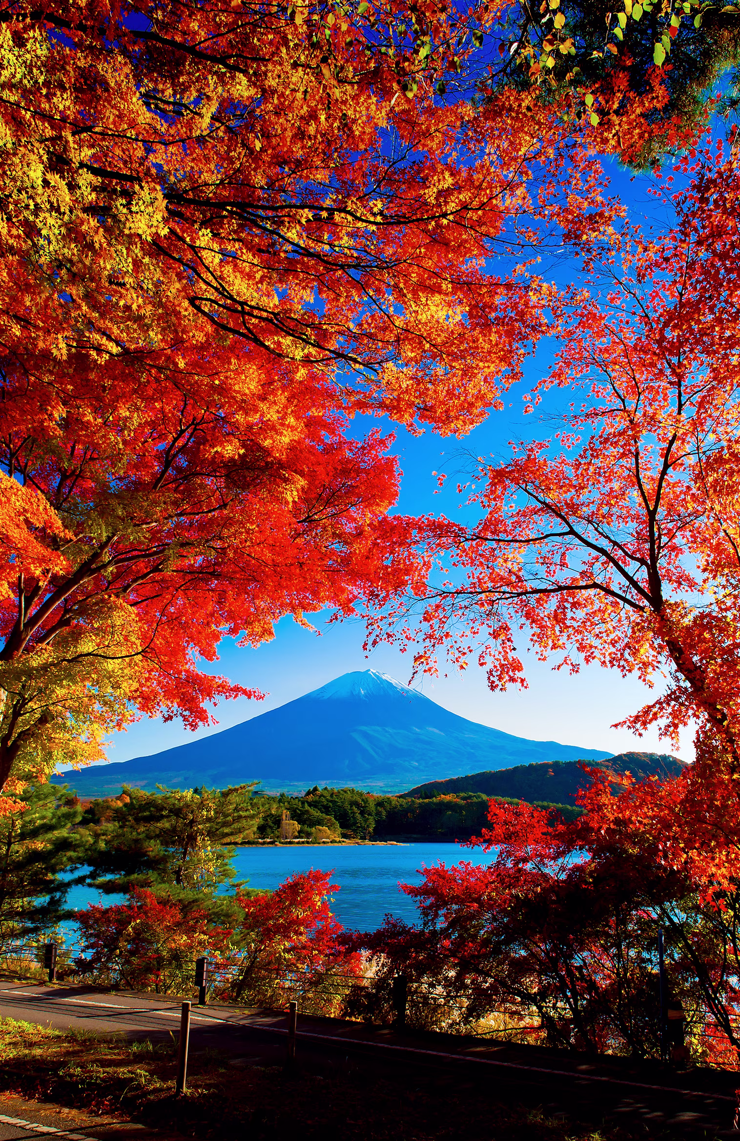 Image > Destination > Japan > Features Gallery > 1 > Destinations_Japan-1_758x1168.jpg