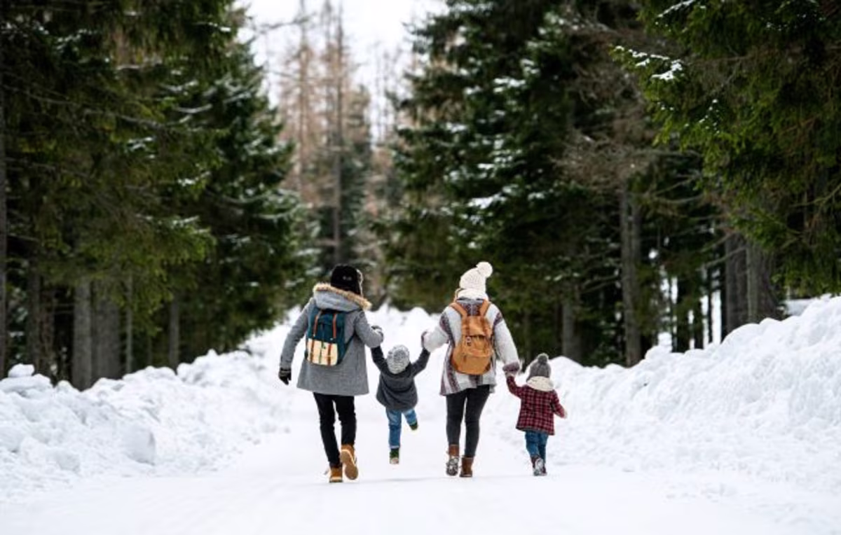 Rear view of a family of four walking happily down an evergreen tree-lined and snow covered road.