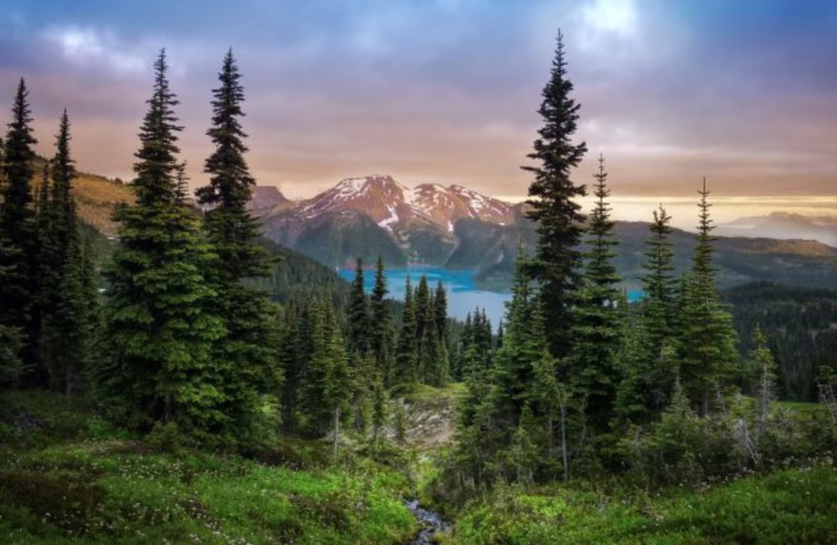 Gorgeous mountain vista with Pine trees a lake and snow capped mountains in the distance, Whistler, Canada.