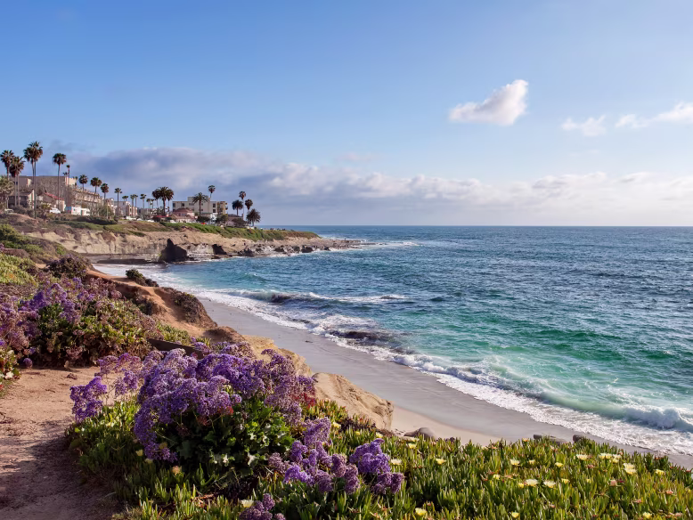 Carlsbad, from $349
