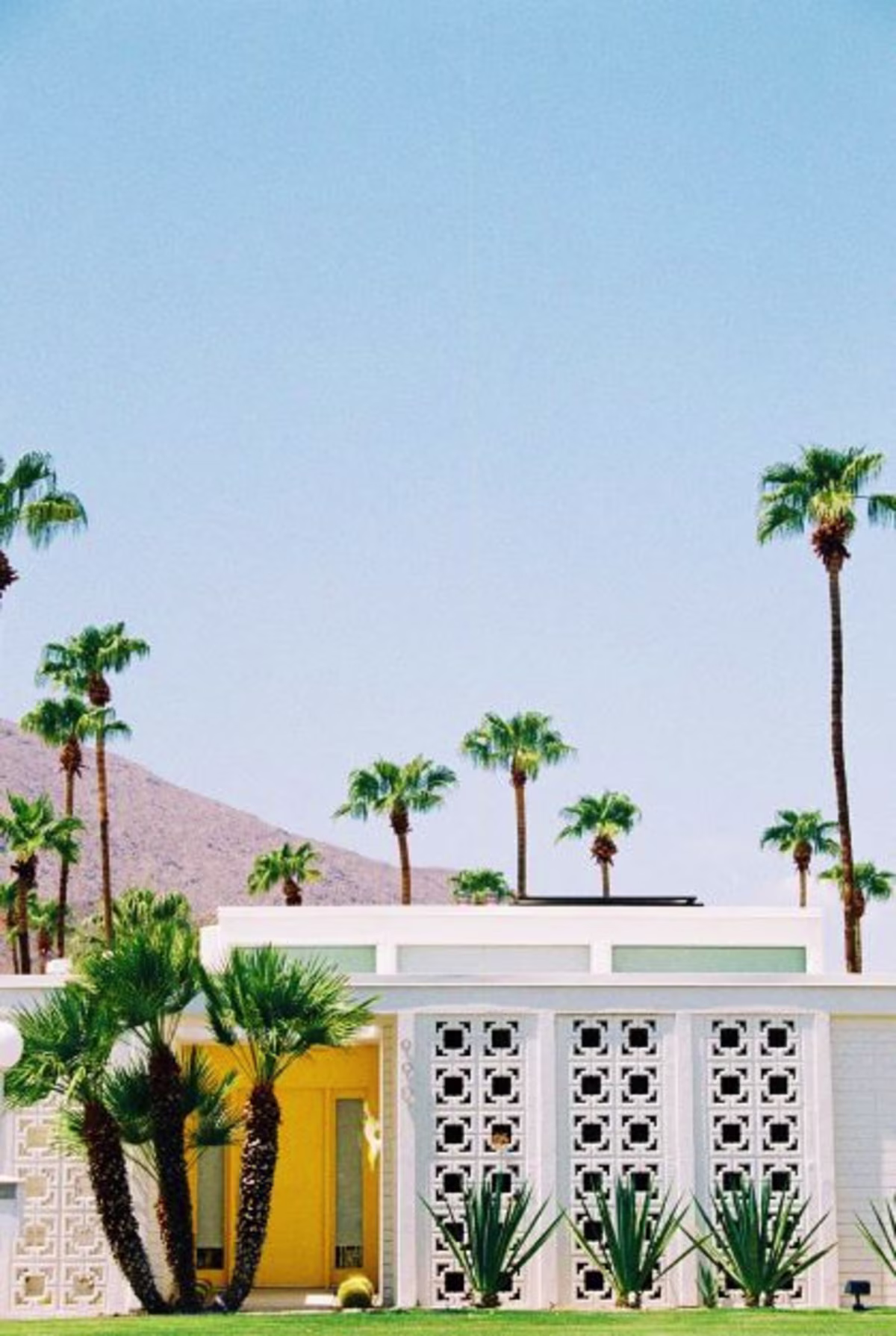 Beautiful image of mid-century architecture with palm trees and desert mountains in the distance, Palm Springs, California.