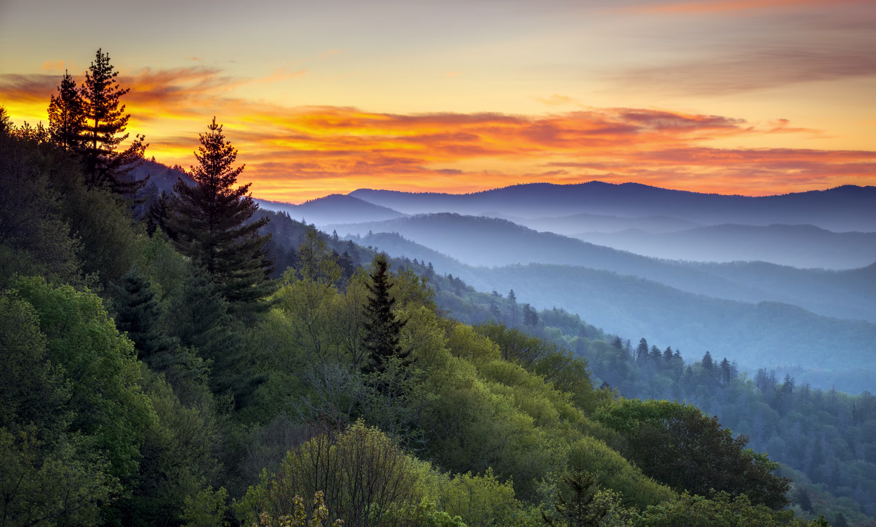 Dusky sunset over layered mountain ranges of the Smokies, with rich orange and blue hues. Foreground features lush green forest and tall, dark silhouettes of trees.