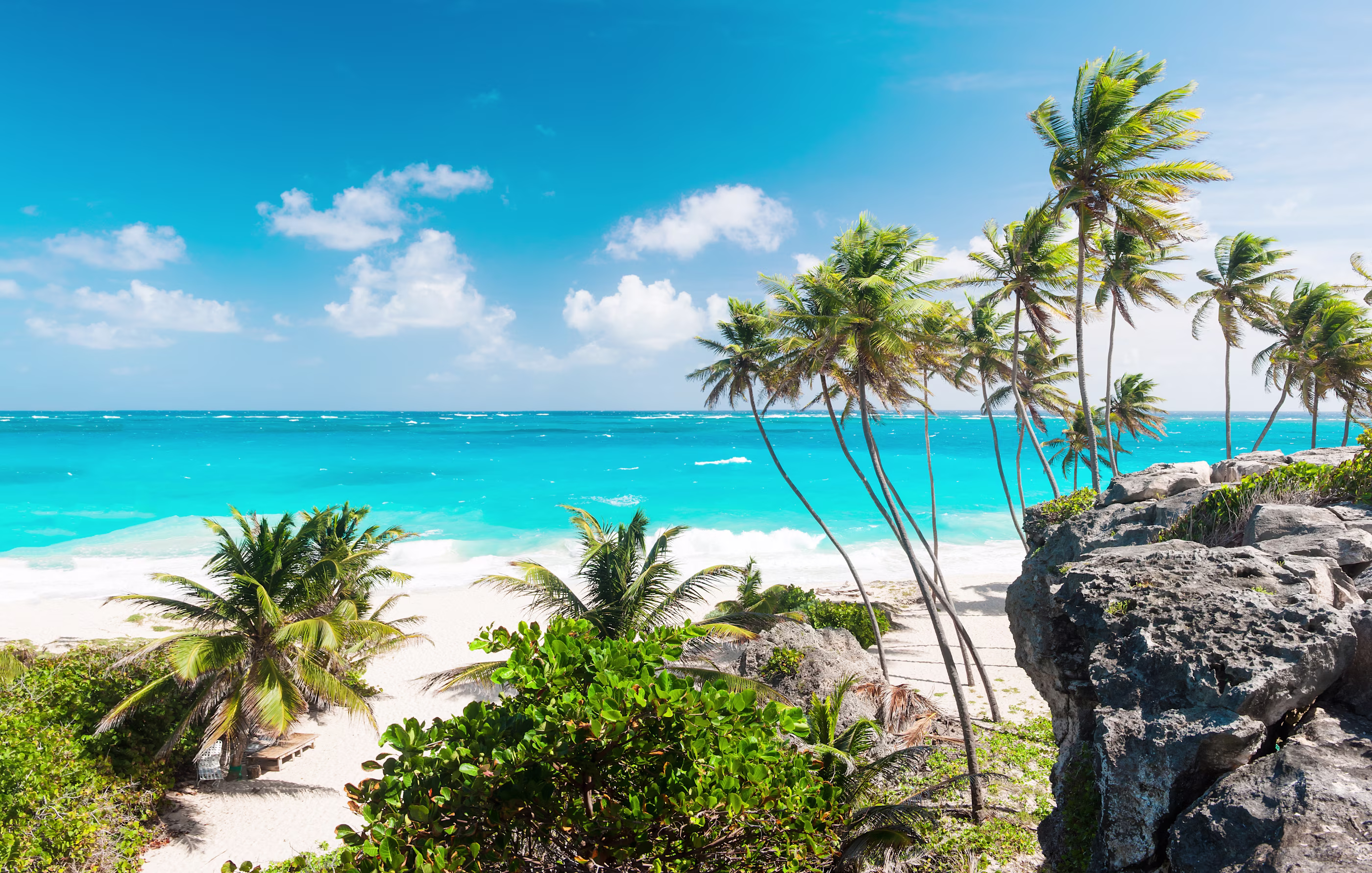 Palm trees stud a white sand beach along the azure Caribbean sea.