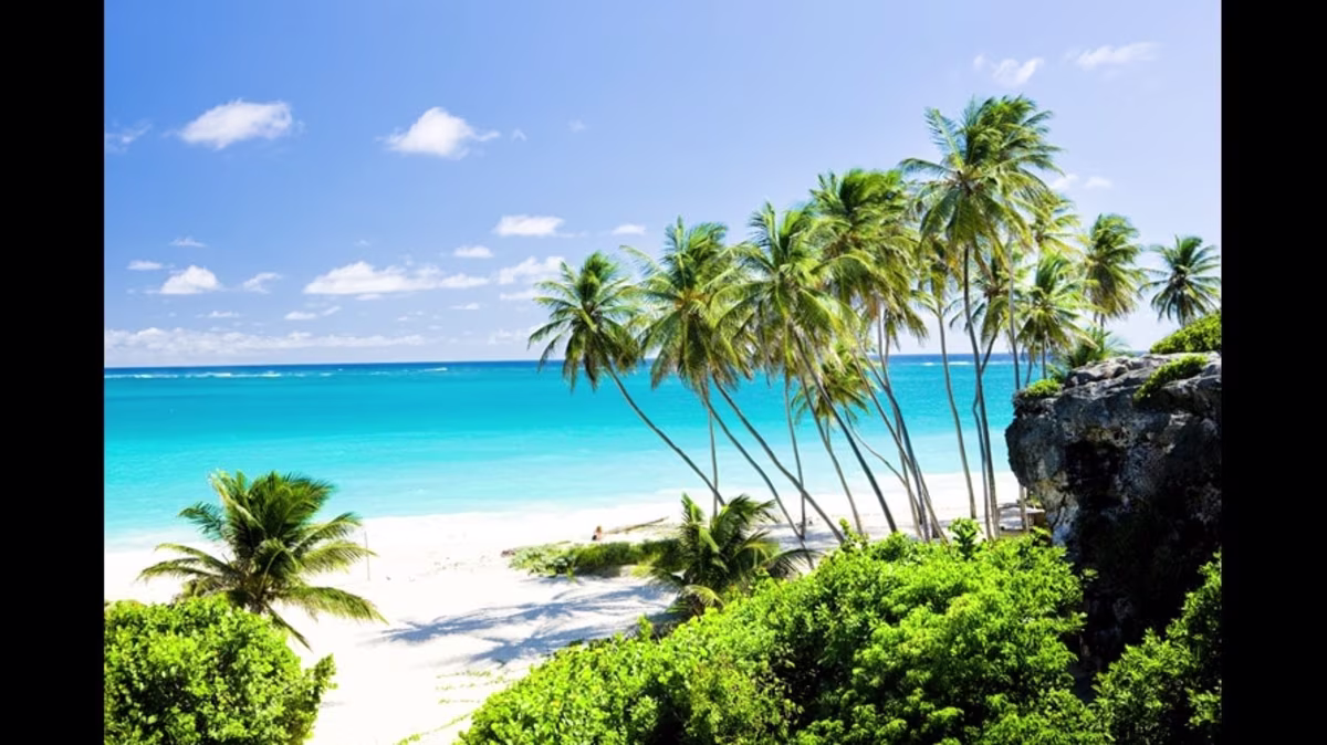 892x501 Placeholder Image