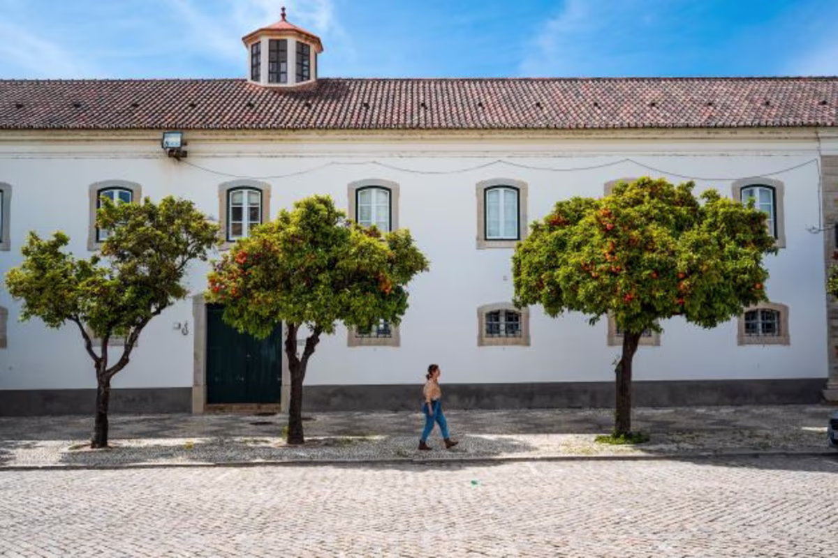 Beautiful image, traveler walking, Algarve street, buildings, citrus trees, Portugal.