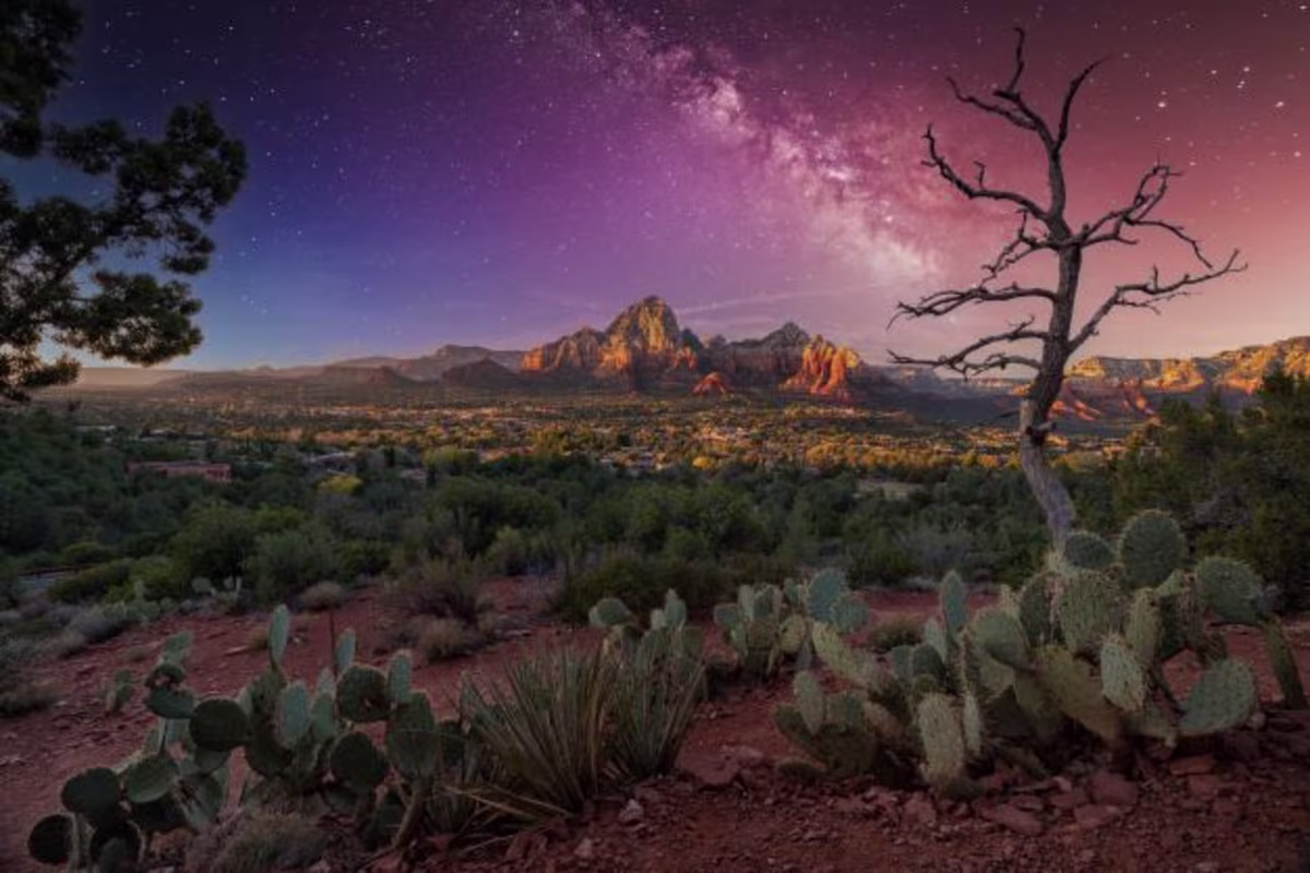 The desert near Sedona, Arizona at night. The sky is a gradient of dark blue and dark purple with thousands of stars. There are desert plants and a withered tree, and visible in the distance is a mountain.