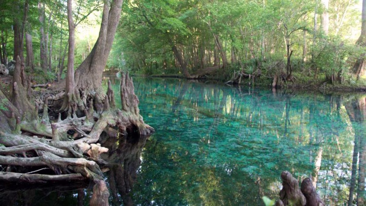 Beautiful Florida freshwater springs, Orlando, Central Florida.