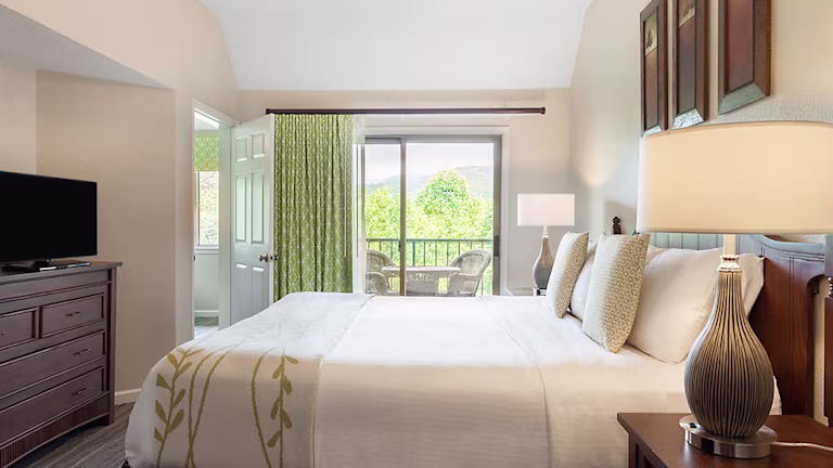 1 Bedroom suite in Mountainloft