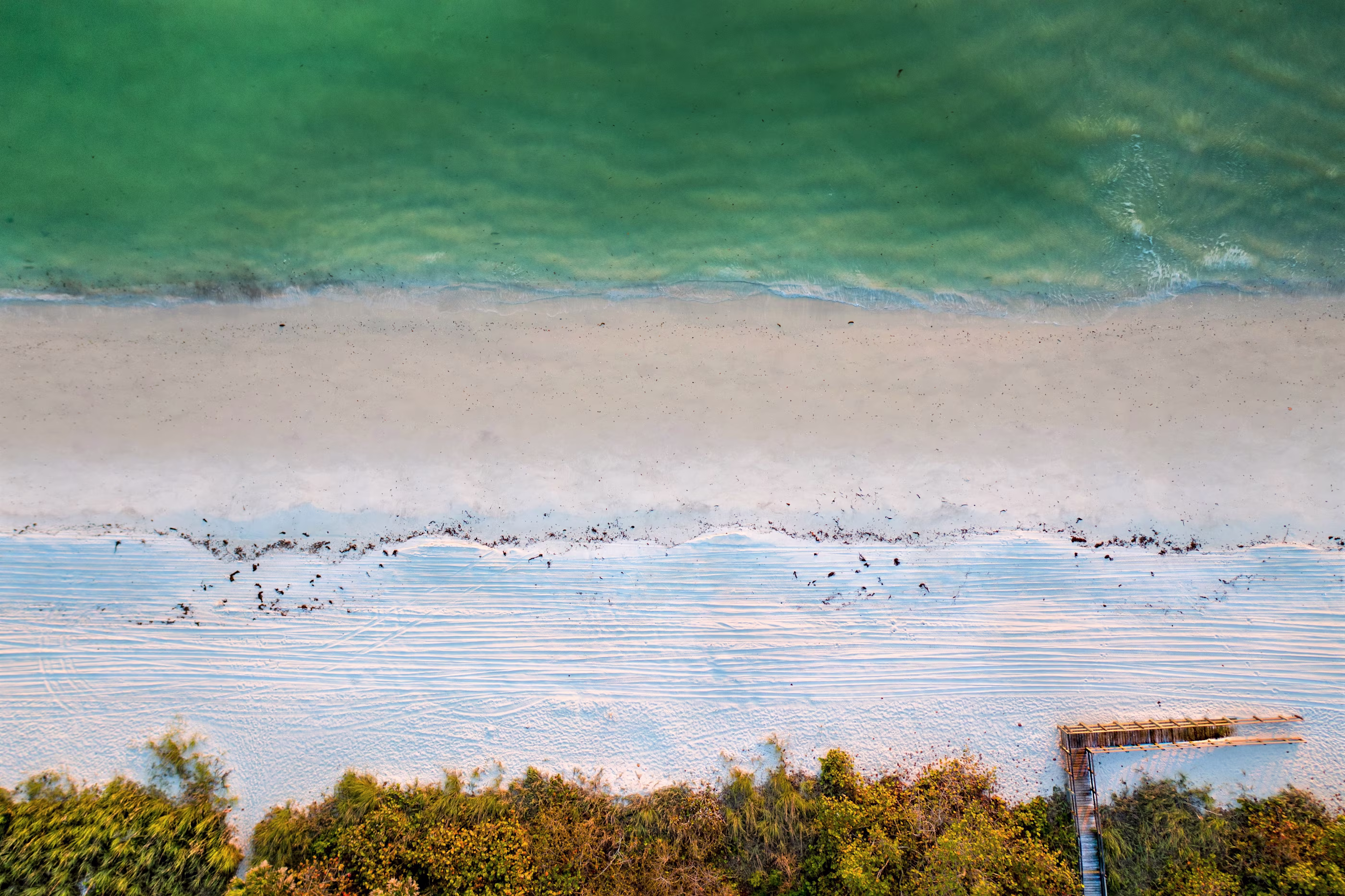 Aerial view of a serene beach with gentle waves meeting the sandy shore. Lush greenery borders the beach, with a wooden walkway extending onto the sand.