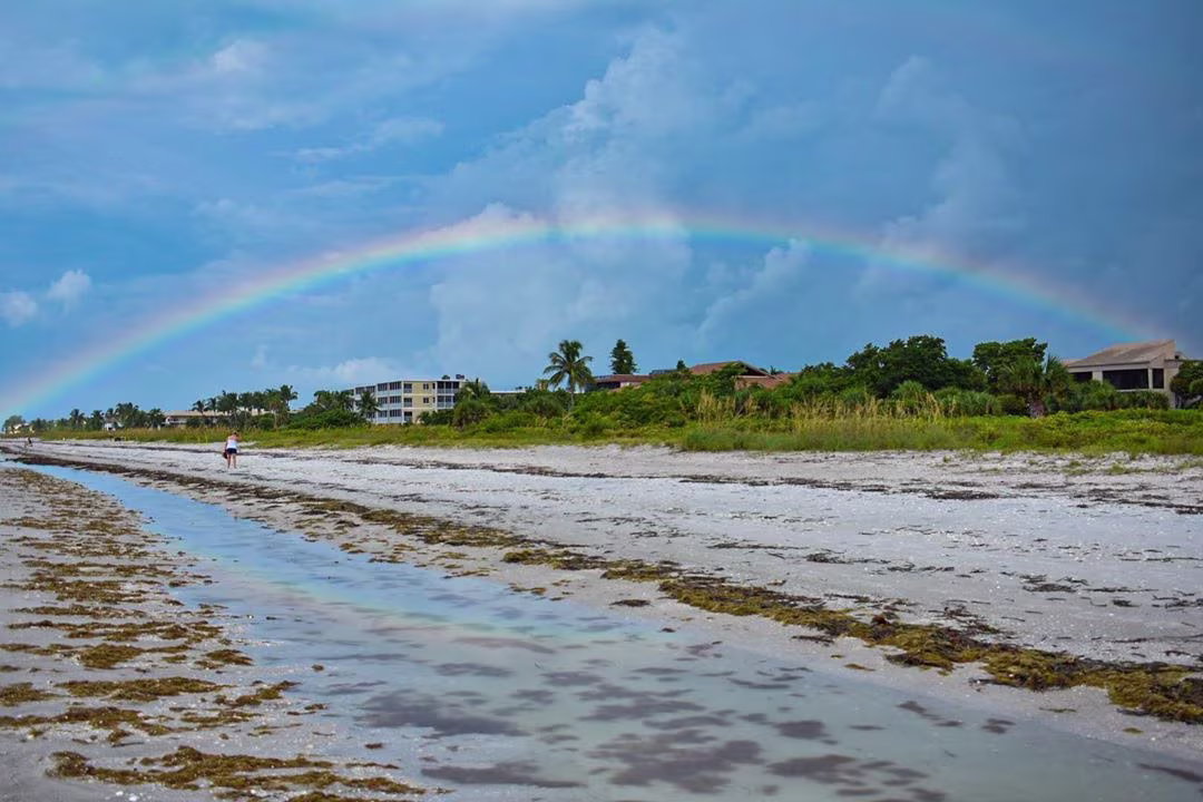 10 ig photos we love_tortuga_rainbow