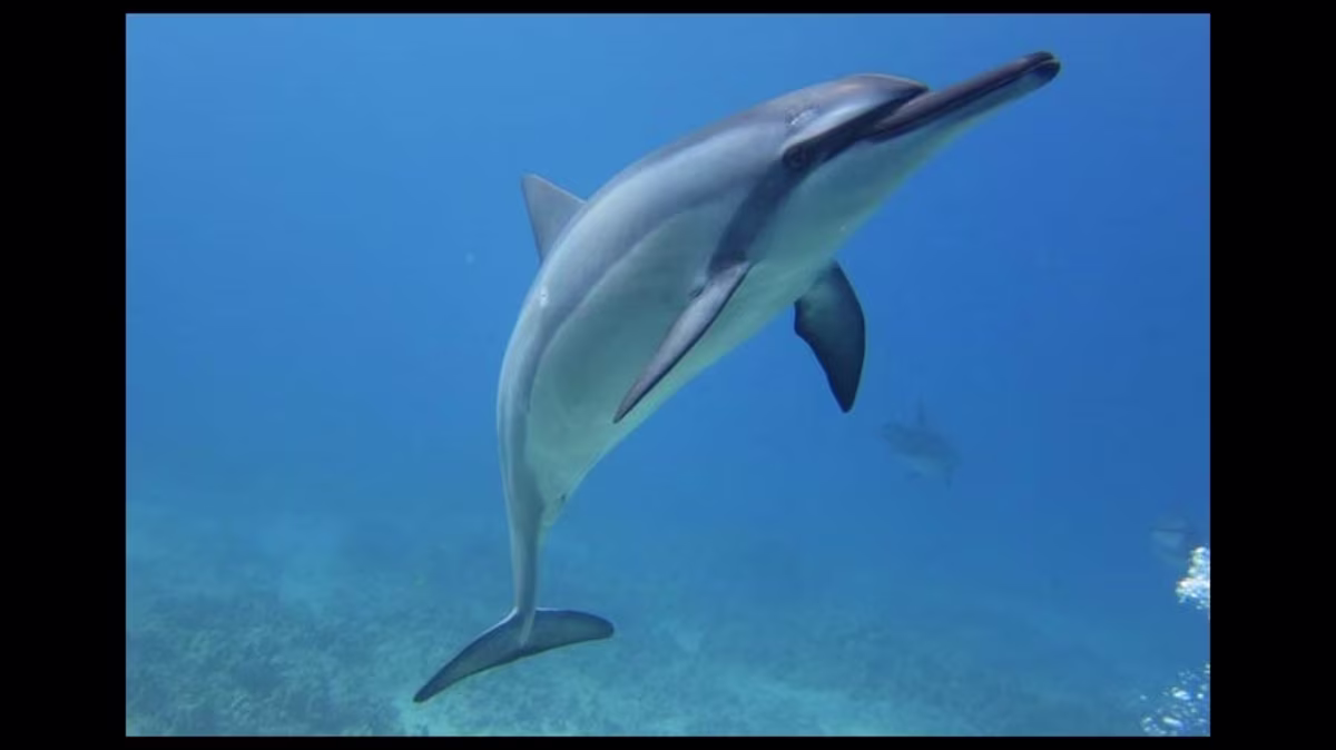 892x501 Placeholder Image