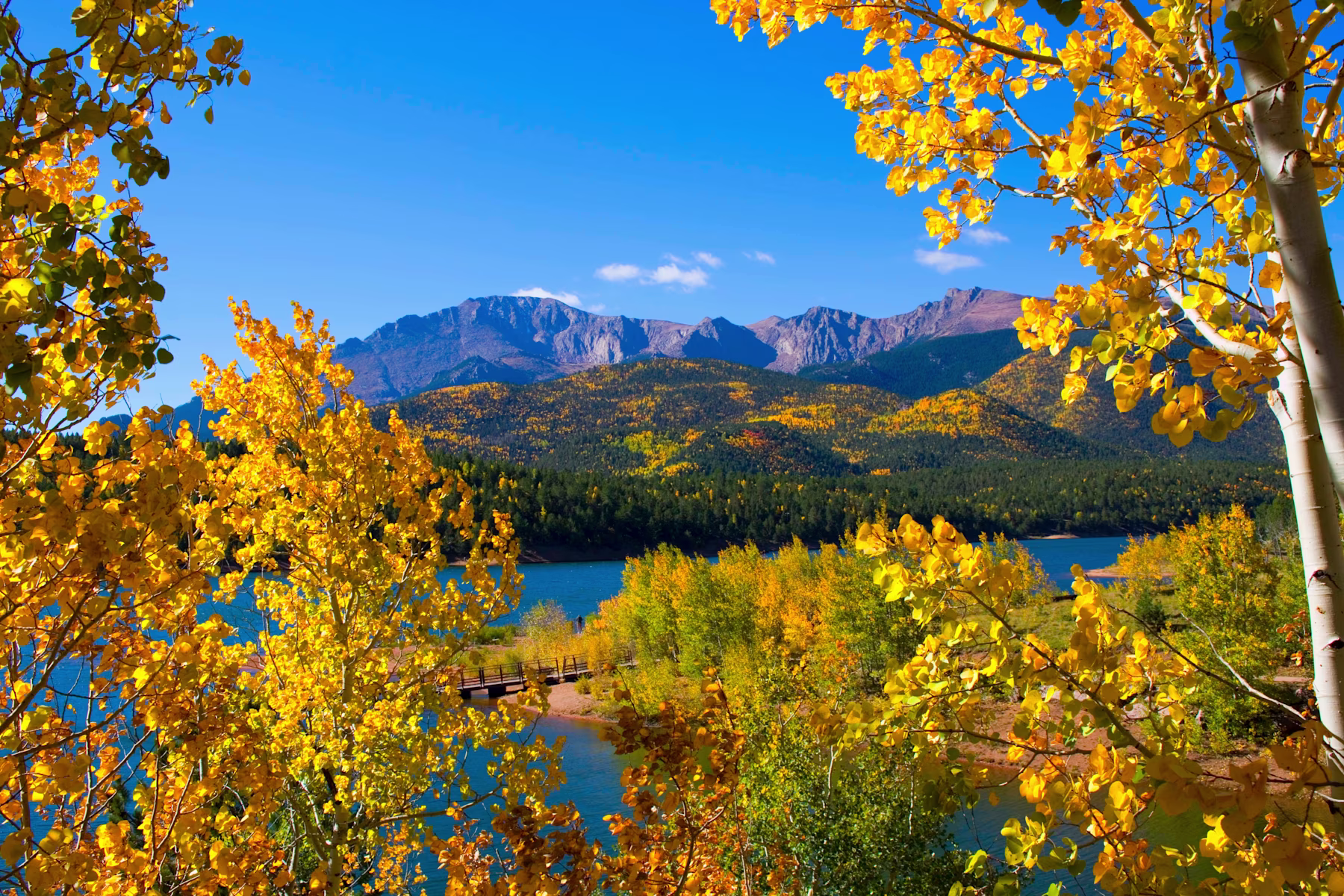 GettyImages-614746506