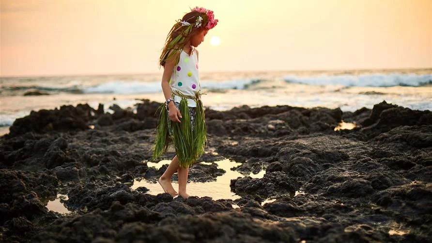 Four Seasons of Paradise: The Best Times of Year to Visit Hawaii