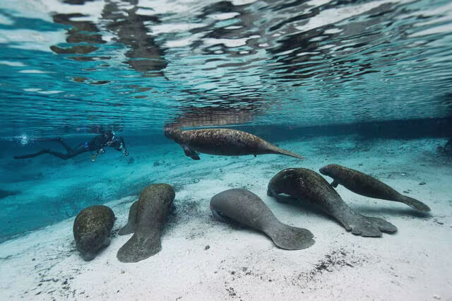 3 of the Best Places to Visit in Central Florida_body_4_August_21