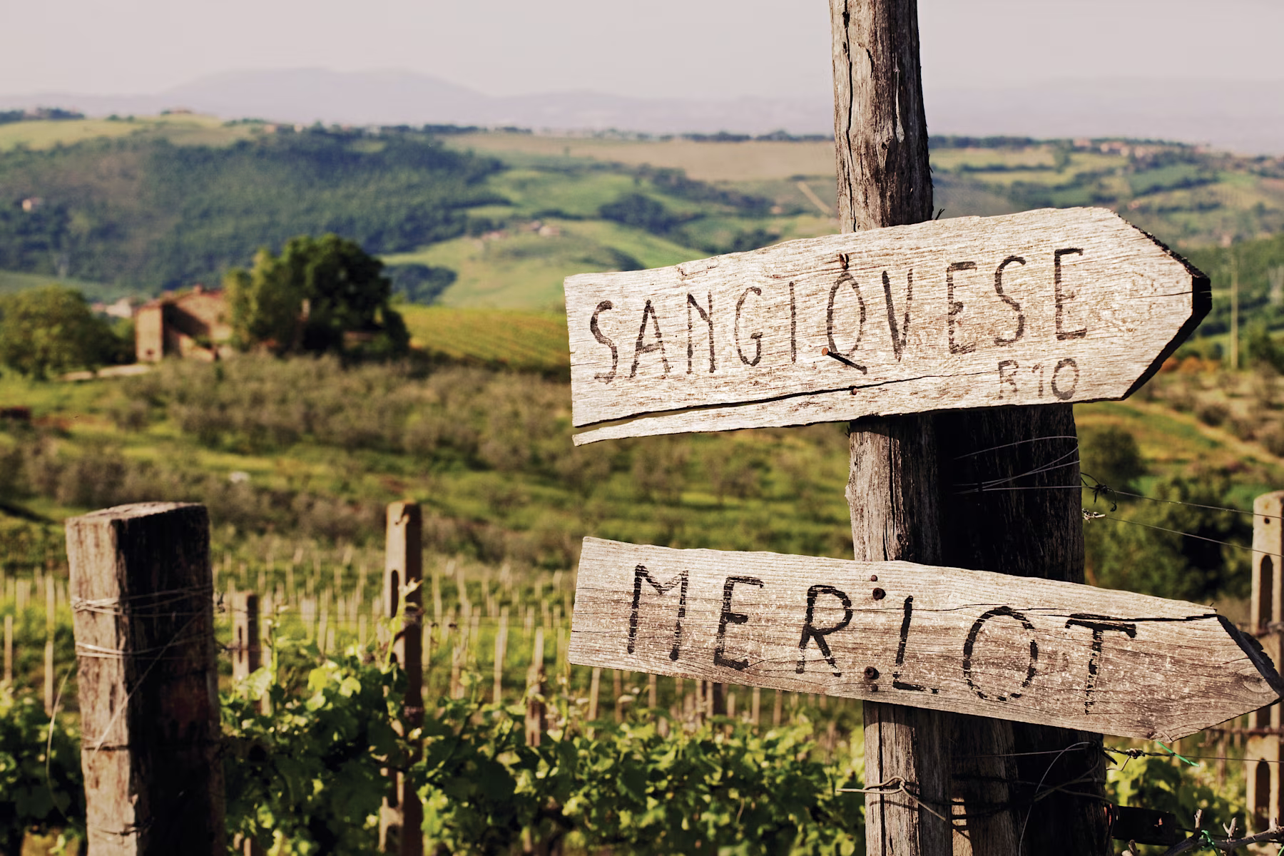 Bucket List Trip Tuscany_body_june_20