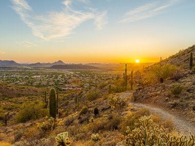 Desert Trail