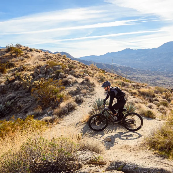 Mountain Biking