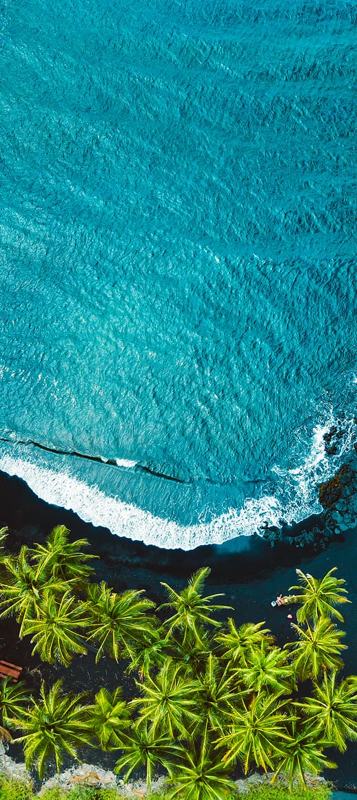 leftside-hero-great-wolf-lodge