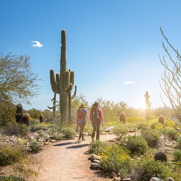 Hiking Trails