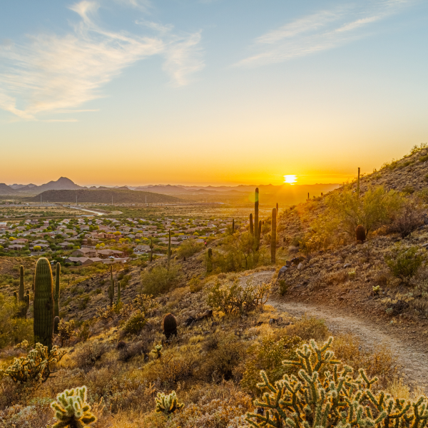 Desert Trail