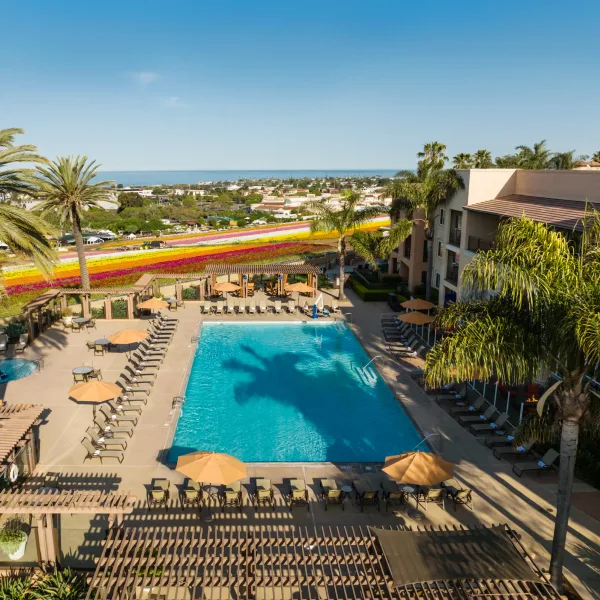 The Cassarra Carlsbad