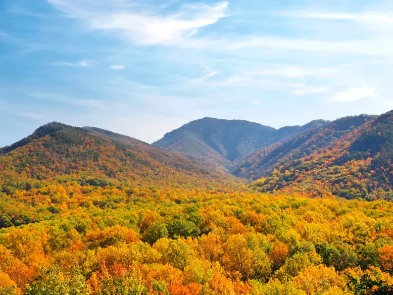 WOP: Destination_Gatlinburg_778x584