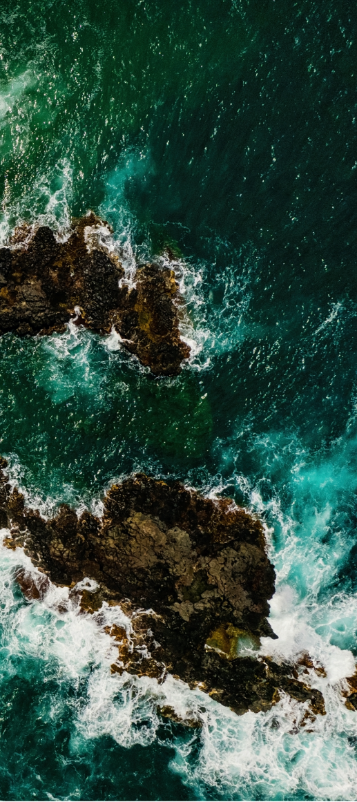 sea 12